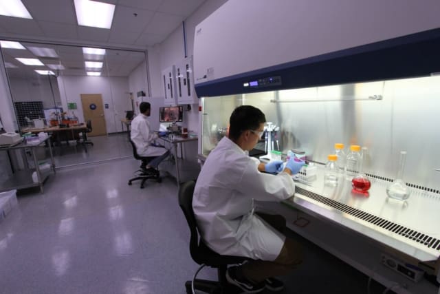 In-House BSL-2 Lab BSL 2 Lab at Novo Engineering