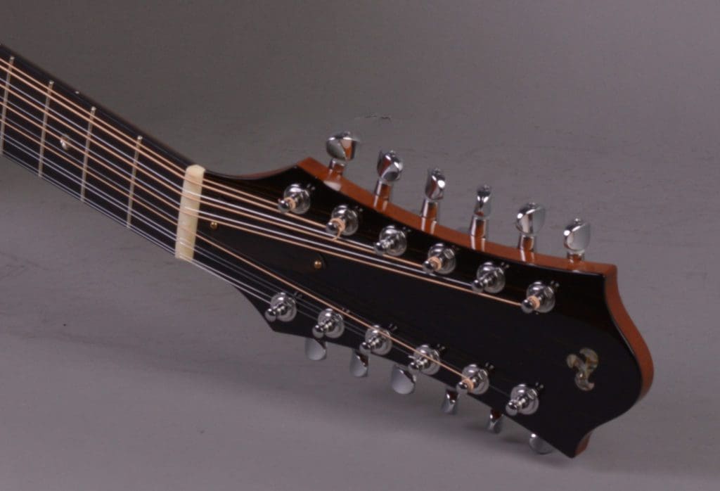twelve-string custom guitar by Chuck T at NOVO Engineering