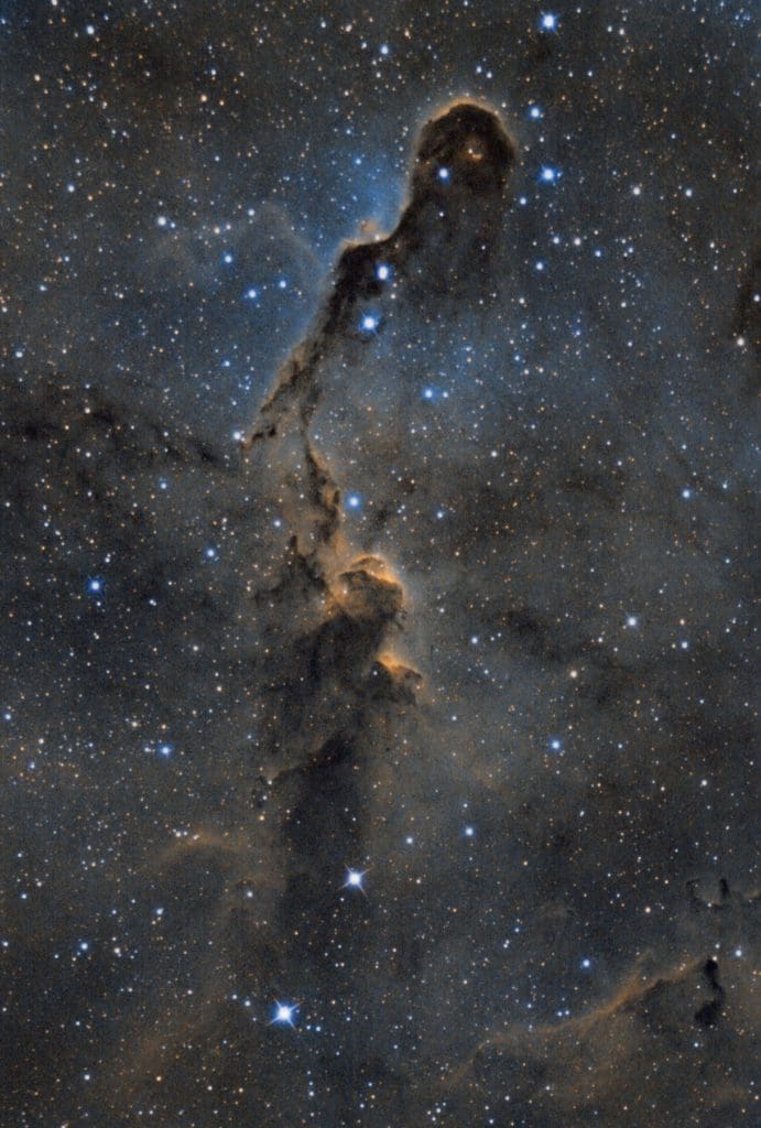 breathtaking photo of the Elephant's Trunk Nebula