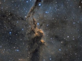 Elephant’s Trunk 1800H breathtaking photo of the Elephant's Trunk Nebula
