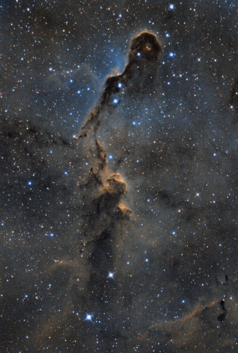 breathtaking photo of the Elephant&#039;s Trunk Nebula