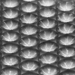 Injection-molded capsules with features to capture leaf samples