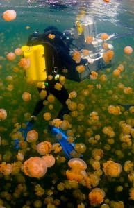 Diver testing 3D underwater camera housing controls in ocean